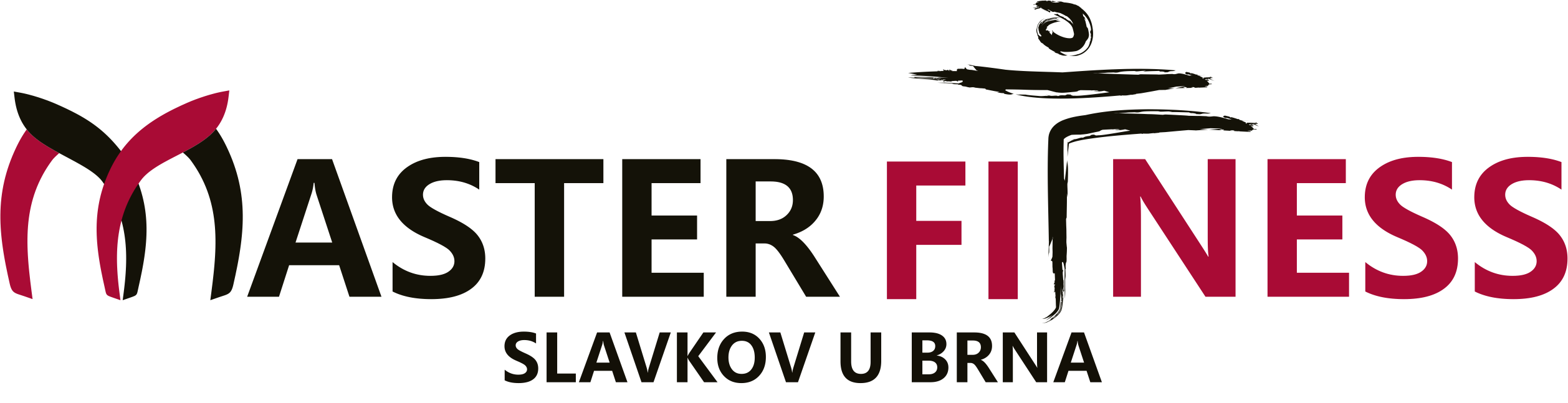 Master Fitness
